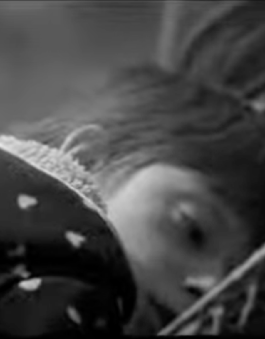 Pisklaki (The Fledglings) TRAILER